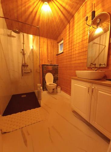 a bathroom with a shower and a toilet and a sink at Noor House 2 in Şuncuiuş