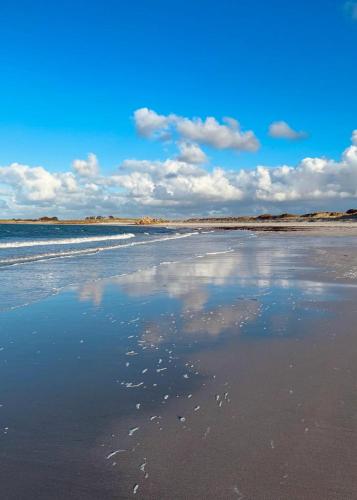 Gite de Kervao, Camélias, proche mer (800 mètres), meublé tourisme 3 étoiles
