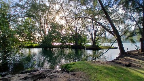a view of a lake with trees and grass at TAHITI ITI - Fare Komako Spot in Paui
