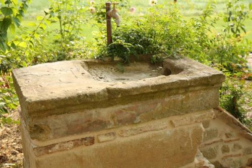 un planteur de pierre avec une plante dans l'établissement Les Mazasses, à Lavaur