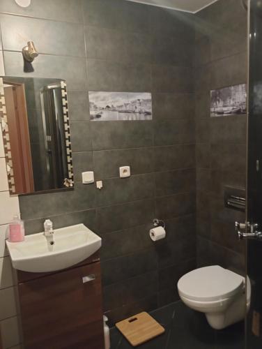 a bathroom with a toilet and a sink at 14-stka in Krościenko