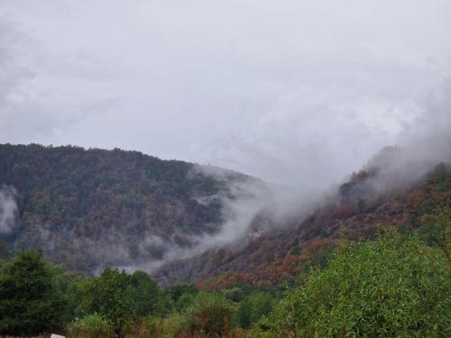 a misty mountain with trees and clouds in the sky at Noor House 1 in Şuncuiuş