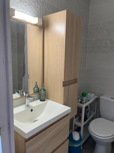 une salle de bain avec un lavabo et des toilettes dans l'établissement Studio Sète, à Sète