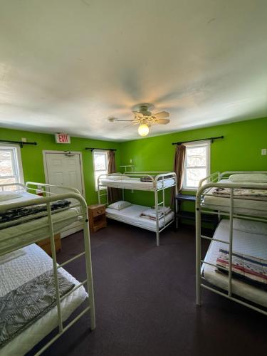 a room with four bunk beds and green walls at Ottawa Backpackers Inn in Ottawa