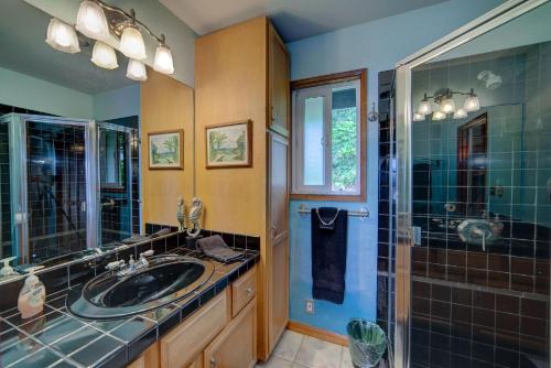 a bathroom with a sink and a shower at Hale Hamakua in Papaaloa