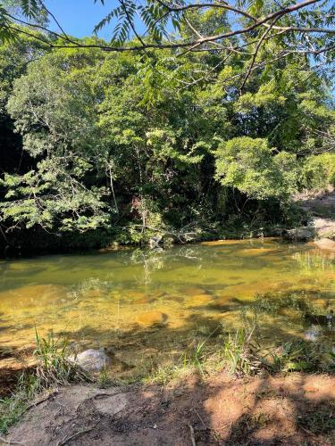 a river with green water and some trees at Sambaqui Hostel in Ilhabela