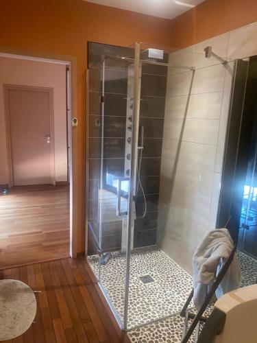 a shower with a glass door in a room at Maison de campagne atypique in Monfort