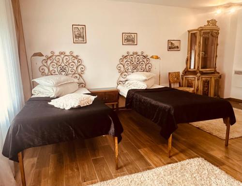 a bedroom with two beds and a mirror at Casa Pisica Noastra in Breaza