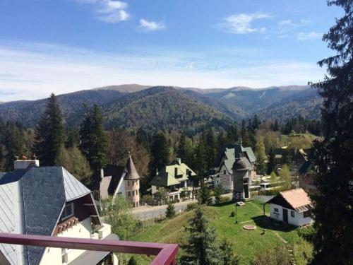 Bergsutsikt från hotellet