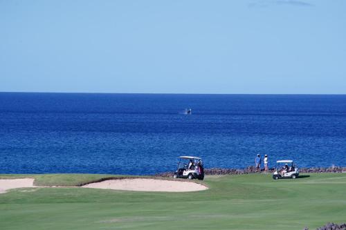 Φωτογραφία από το άλμπουμ του Halii Kai 9G σε Waikoloa