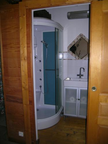 a bathroom with a shower and a sink at Ti Gwen in Plonévez-du-Faou