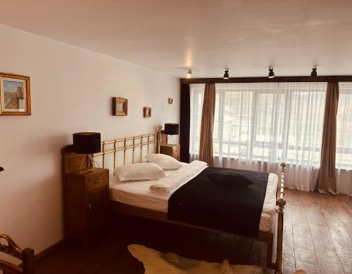 a bedroom with a bed and a large window at Casa Pisica Noastra in Breaza