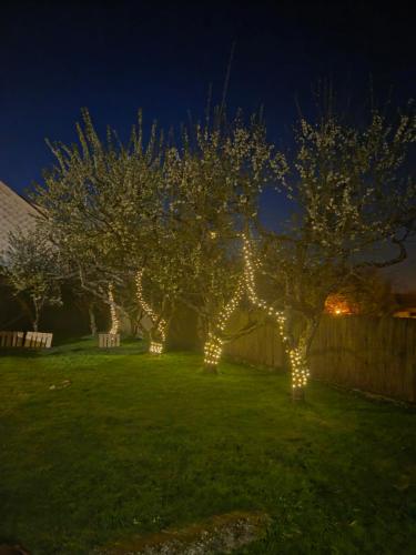 Le Sanctuaire des Etoiles