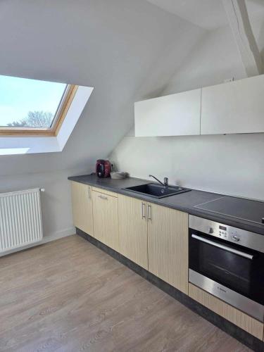 une cuisine avec un évier et une cuisinière dans l'établissement Le Sanctuaire des Etoiles, à Rohrbach-lès-Bitche