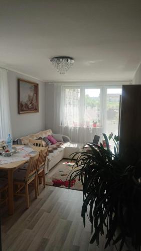Apartament Koralowa