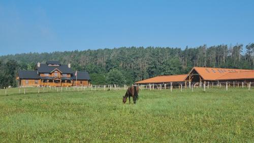 Ranči v Buši - pokoj ve srubu