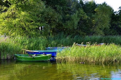 three boats sitting in the water next to some grass at Hotel Huszcza in Mrągowo