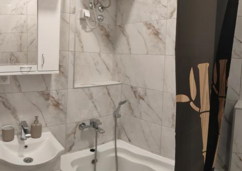 a bathroom with a shower and a sink and a tub at Vuk 1 in Belgrade