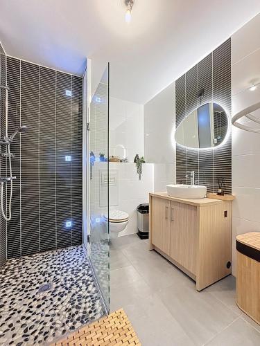 une salle de bain avec une douche, des toilettes et un lavabo dans l'établissement Studio moderne Thouaré sur Loire, à Thouaré-sur-Loire