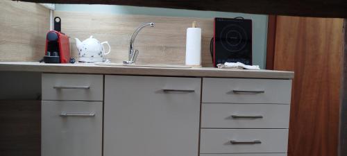a kitchen counter with a sink and a microwave at Statek Kloubek in Chabičovice
