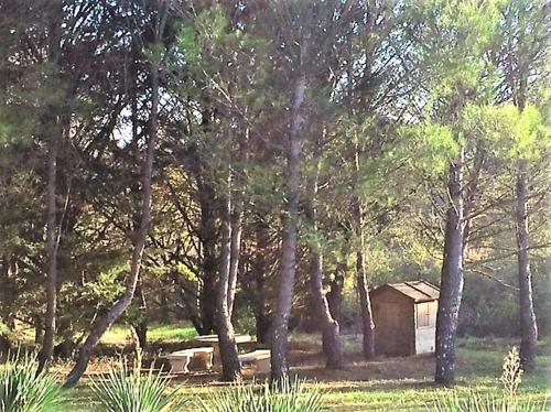 une petite cabane au milieu d'une forêt d'arbres dans l'établissement La maison bleue, à Cadenet