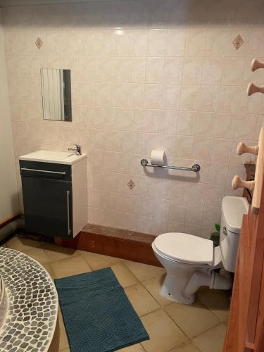 une salle de bain avec toilettes, lavabo et miroir dans l'établissement Grange, à Saint-Paul-Mont-Penit