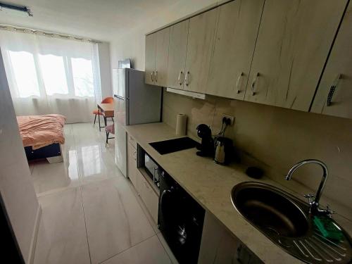 a kitchen with a sink and a counter top at Relax Apartament in Arad