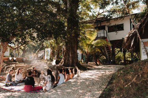 MiramarCoco Bamboo Beach Camp的一群人坐在树下