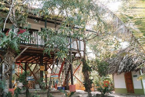 MiramarCoco Bamboo Beach Camp的树中间有木甲板的建筑