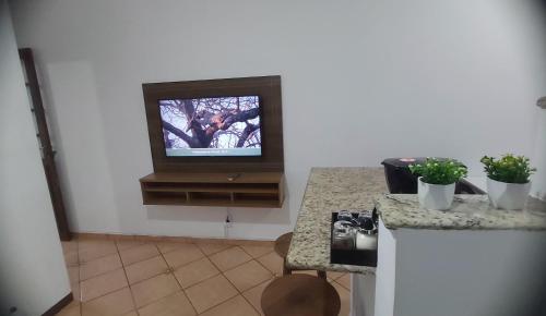 a kitchen with a tv and a counter with plants at Brisa do Mar in Caraguatatuba