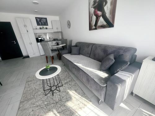 a living room with a couch and a table at Apartman 3N in Veliko Gradište