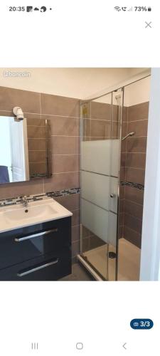 une salle de bain avec un lavabo et une douche en verre dans l'établissement Le sud, à Pierre-Bénite