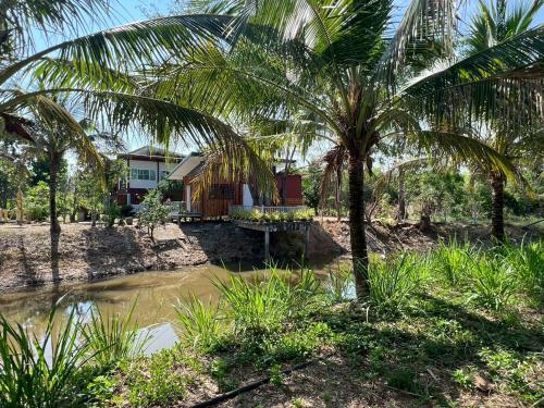 a house with a palm tree and a pond at Coco farm stay Suanphueng in Ratchaburi