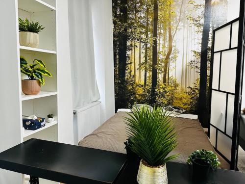 Cozy flat near main station & center
