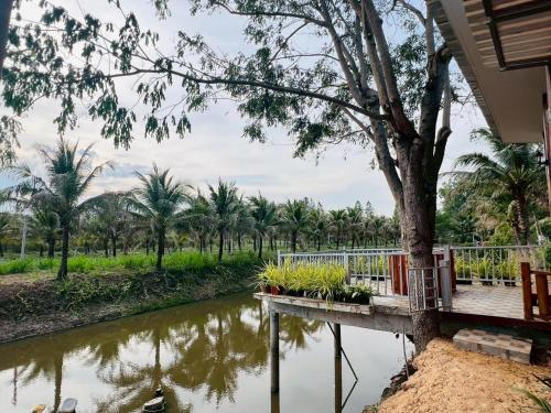 a house next to a river with palm trees at Coco farm stay Suanphueng in Ratchaburi