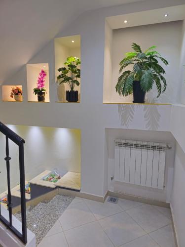 Galeriebild der Unterkunft Appartement résidence EL-HANA in Tlemcen
