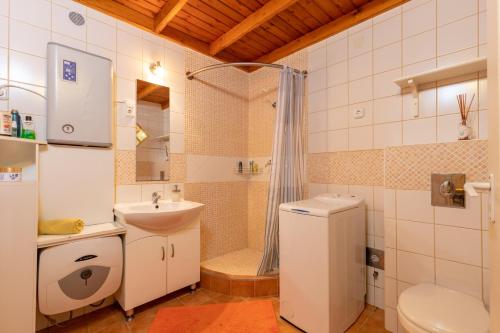 a bathroom with a shower and a sink and a toilet at Buda or Pest in Budapest