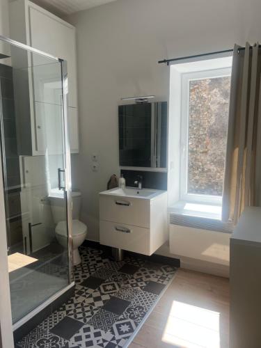 une salle de bain avec une douche, des toilettes et un lavabo dans l'établissement Appartement rénové avec terrasse, à Anduze
