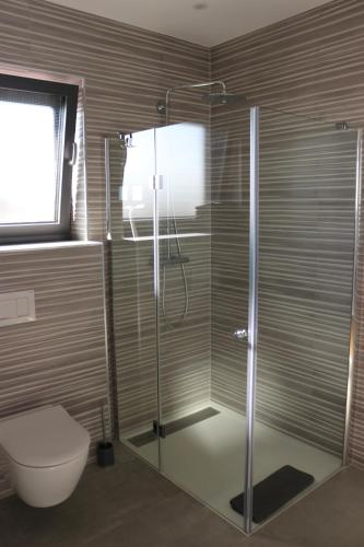 a bathroom with a shower and a toilet and a window at Ferienwohnung Nalbach Wohnung 1 in Nalbach