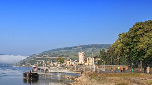 a group of people standing on the shore of a river at Hotel Rose in Rüdesheim am Rhein