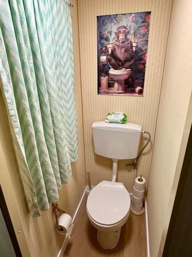 a bathroom with a toilet and a picture on the wall at Monte do Bidé Private Farm Peace and Nature in Setúbal