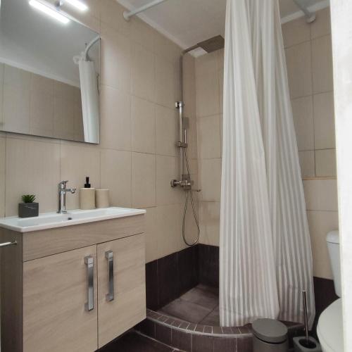 Zenith Apt #3