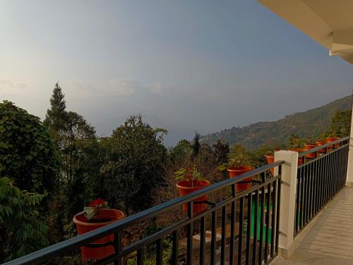 a balcony with potted plants and a view of the mountains at Green heaven homestay in Kalimpong