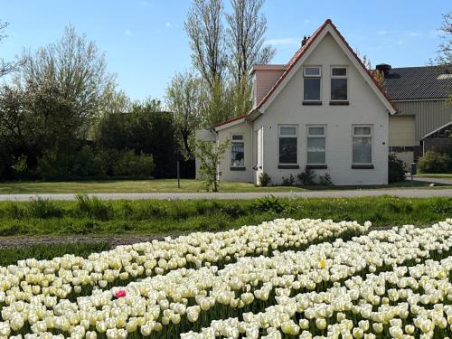 Taman di luar Bollenzicht