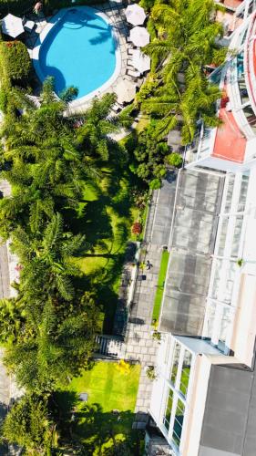 an overhead view of a swimming pool and trees at Hotel Grand Vista Cuernavaca in Cuernavaca