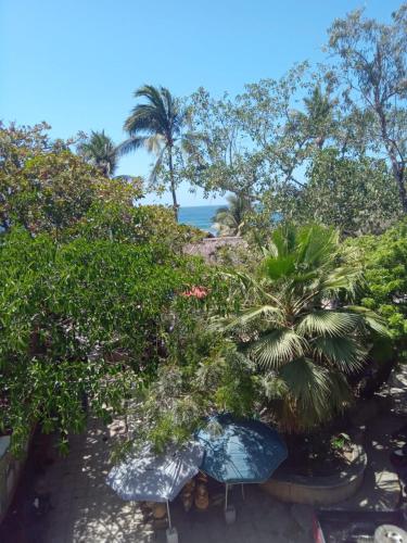 a view of a garden with palm trees and the ocean at Bungalows La Perla in San Francisco