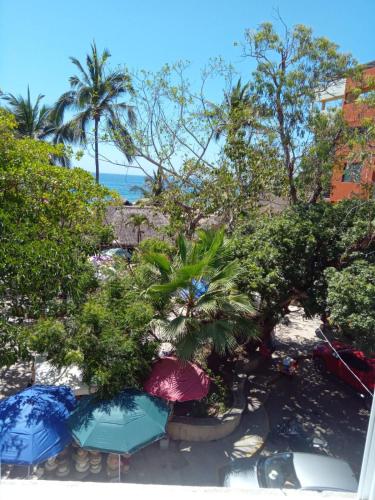 a view of a beach with trees and the ocean at Bungalows La Perla in San Francisco