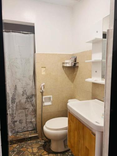 a bathroom with a toilet and a shower and a sink at Treasure Island Beach Resort in Olongapo