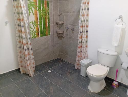 a bathroom with a toilet and a shower at Finca Hostal La Esperanza in Quimbaya