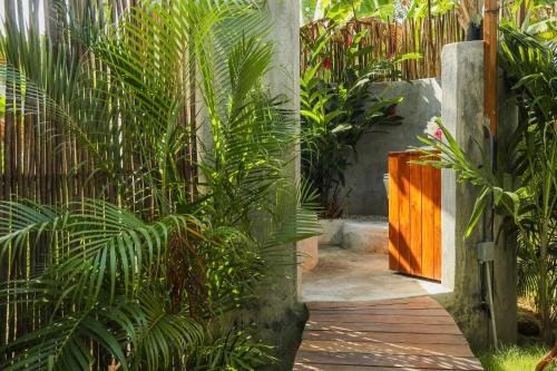 a wooden pathway through a garden with plants at Nómada Tayrona Boutique Glamping in Santa Marta